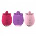 Female Silicone Tongue Lick Vibator Toy Masturbator 10 Modes Waterproof Low Noise Clitoris Stimulator Sex Machine rose Red