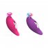 Female Sucker Vibrator Toys 10 Mode Vibration Double Head Vibration Masturbator G Spot Clitoris Stimulator Massager Toy rose red