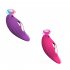 Female Sucker Vibrator Toys 10 Mode Vibration Double Head Vibration Masturbator G Spot Clitoris Stimulator Massager Toy rose red