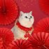 Festive  Cat  Collar Adjustable Magic Tape Comportable Eye catching Lace Design New Year Winter Warmth Cloak Clothes For Dogs Bib