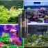 Fish Tank Sponge Filter Aquarium Filter Sponge Fish Tank With Filtering Bubble Stones Mini Water Purification Circulating Filter For Salt Water And Fresh Water 