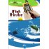 Fish finder locator with sonar sensor for you to see exactly on an LCD screen if there are any fish in the area