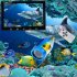 Fishing underwater camera set with fish finder camera  9 inch LCD screen  battery pack and carrying case   Fishing just became a whole lot easier