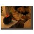 Flame Aroma Diffuser  Flame Humidifier with 3 Color Changing Lights USB Charging Square Aromatherapy Diffuser Dark Gray