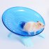 Flying Saucer Exercise Wheel for Small Pets  18 cm 7 09 inch Hamsters Running Disc  Comfort Pet Toys Blue 18 18 11cm