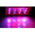 Full Spectrum LED Grow Light with 12 color changing 36 Watt LEDs  3Watt LED chipset and remote controlled color spectrum