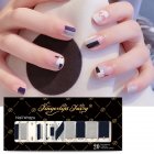 Full Wraps Shinning Nail Stickers Decals DIY Nail Art Stickers for 20 Fingers Normal specifications_#13
