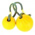 Funny Bite Resistant Training Ball Chew Toy with Rope for Pet Dog 7 cm with rope