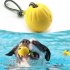 Funny Bite Resistant Training Ball Chew Toy with Rope for Pet Dog 7 cm with rope