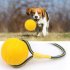 Funny Bite Resistant Training Ball Chew Toy with Rope for Pet Dog 9 cm with rope