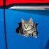 Funny Car  Sticker Body Dog Cat Puppy Scratch Paint Subsidies Cartoon Simulation Door Body Decal Orange Cat No  4 17 23cm