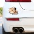 Funny Car  Sticker Body Dog Cat Puppy Scratch Paint Subsidies Cartoon Simulation Door Body Decal Orange Cat No  4 17 23cm