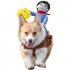 Funny Cowboy Riding Costumes Jacket for Pet Cat DogCosplay Accessories  As shown M