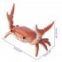 Funny Cute Crab Pen Holder Weightlifting Crabs Penholder Bracket Storage Rack red