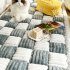 Funny Fuzzy Couch Cover Cream Coloured Plaid Magic Sofa Protective Cover Anti Slip Pet Mat Bed Grey 70x180cm