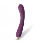 G-spot Vibrator Sex Toys Clit Anal Nipple Stimulator Erotic Massage Vibrator For Women Clitoris Sweet Spots Couples Adult purple boxed