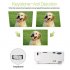 GP9S Mini Projector is a pocket LED projector  weight only 700 grams and having a 150 inch 800 by 480 resolution display makes it a gem for games and movies
