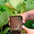 Garden Supplies Flowerpot Vegetable Fruit Pots 8 8CM Biodegradable Pulp Tool Nursery Cup 50pcs