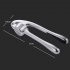 Garlic Press Mincing Crushing Tool with Ergonomic Handle for Ginger Nuts primary color