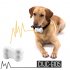 Get this beginner level dog training bark stop collar as well as professional grade dog training products and pet gadgets at the number one source for factory d