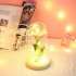 Glass Cover Rose Flowers LED Light String Gift Women Girls on Birthday Holiday Christmas Powered by Batteries Champagne powder