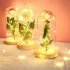 Glass Cover Rose Flowers LED Light String Gift Women Girls on Birthday Holiday Christmas Powered by Batteries white
