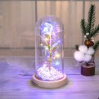 Glass  Dome  Cover  Roses  Ornaments Colorful Bendable Led Light Bar Valentine Day Creative Gift Weddings Family Dinners Decoration Colorful light + foam ball