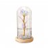 Glass  Dome  Cover  Roses  Ornaments Colorful Bendable Led Light Bar Valentine Day Creative Gift Weddings Family Dinners Decoration Warm white light   3 leaves