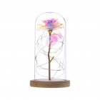 Glass Dome Rose with Wooden Base Valentine s Day Gifts Christmas LED Rose Lamps Home Decoration As shown