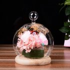 Glass Globe Display Dome Cover with Wood Base Heart Shape Handle Home Decoration Small ball top cover   wood color flat base