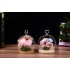 Glass Globe Display Dome Cover with Wood Base Heart Shape Handle Home Decoration heart top cover   dark color flat base