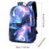 Glow In The Dark Backpack Starry Night School Bag With USB Charging Port Laptop Bag Handbag For Boys Girls    USB   Starry Sky Blue