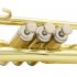 Golden Trumpet Bb B Flat Professional Brass Trumpet with Gloves Gold