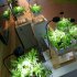 Gooseneck Led Plant Landscape  Lights For Aquarium Aquatic Plant Eco bottle Lights 7w