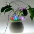 Grab innovative Christmas Gadgets from Chinavasion s Christmas Wholesale Gifts category