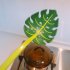 Green Monstera Leaf Shape Srainer Scoop with Hanging Hole for Pasta Dumpling Photo Color