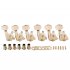 Guitar knob Gold Color with Lock 6R Ferrule Threaded Bush Screws Set for Musical Instrument Accessories  Box Packing  Gold