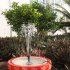 Gy d 001 Solar Fountain Pump Waterproof Micro Brushless Dc Bird Bath For Outdoor Garden Pond Pool 1 4W split fountain