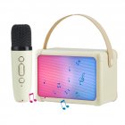 H2 Karaoke Machine With Microphones Cool RGB Lighting Portable Speaker Studio Speaker AUX TF Card Player For Party Meeting Single mic white