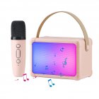 H2 Karaoke Machine With Microphones Cool RGB Lighting Portable Speaker Studio Speaker AUX TF Card Player For Party Meeting Single mic pink