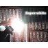 H4 Halogen Car Headlight   2 Pieces  White Light  H4  100W  1200 Lumens  UV protection  GE anti knock tube  anti seismic