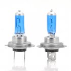 H7 Halogen Car Headlight H7 Halogen Car Headlight