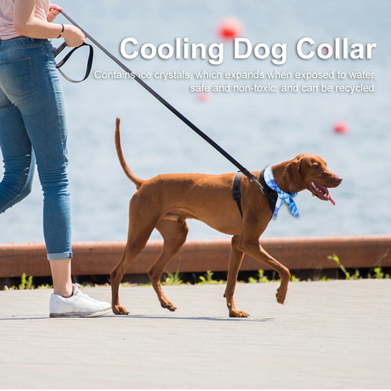 Pet Cooling Scarf Outdoor Comfortable Fabric Ice Collar Pet Supplies Blue Medium