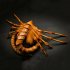 Halloween Horror Scorpion Mask Latex Cosplay Prop for Party Headgear  1