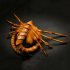 Halloween Horror Scorpion Mask Latex Cosplay Prop for Party Headgear  2