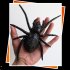 Halloween LED Spider Light Built In Battery Kids Tricky Toys Horror Props For Halloween Haunted House Decor  17 x 4 x 26cm  white spider light