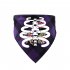 Halloween Luminous Dog Bandanas Halloween Trick Or Treat Dog Plaid Bandana Puppy Costume Decorations For Halloween Holiday purple human bone neck circumference 