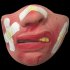 Halloween Mask Children Adult Half Face Mask   Bar Dance Party Funny Red Lip Mask