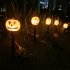 Halloween Pumpkin Stake Lights Outdoor Waterproof Garden Pumpkin Lights Halloween Decoration For Garden Patio Yard Battery box Oval