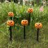 Halloween Pumpkin Stake Lights Outdoor Waterproof Garden Pumpkin Lights Halloween Decoration For Garden Patio Yard Battery box Oval